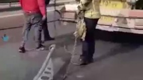 سقوط تیرهای روشنایی بزرگراه آزادگان تهران