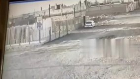 زیر گرفتن عمدی و بی‌رحمانه یک سگ توسط راننده