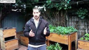 پرورش ماهی زینتی-فیلم پرورش ماهی-درمان بیماری لکه سفید