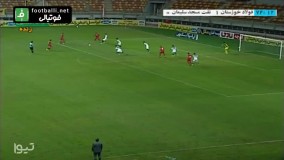 استعدادی که شیری در گل زدن به نفت نشان داد