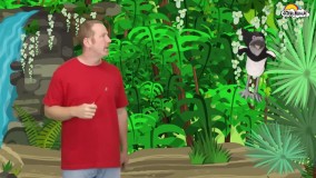 زبان به کودکان-انیمیشن استیو اند مگی-مسواک زدن