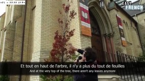 زبان فرانسه-مکالمه زبان فرانسه-زبان فرانسوی-لغات فرانسوی