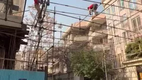 داربست