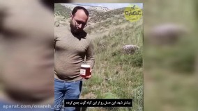 عسل تک گل یعنی چی؟