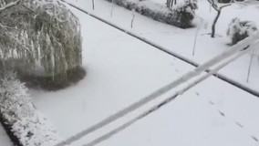 بارش برف خراسان شمالی را سفیدپوش کرد 1