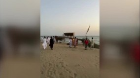 نخل دیگری جایگزین تک درخت زیبای «دَرَک» شد