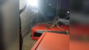 داک لولر هیدرولیک شرکت ژیار صنعت ماهور