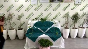 چیدن هفت سین با لینکران