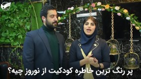 سالی که گذشت- فن پردازان