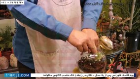 ساخت تراریوم-تراریوم کاکتوس-آموزش گام به گام ساخت تراریوم