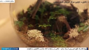 ساخت تراریوم-تراریوم کاکتوس-ساخت تراریوم آویز
