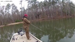 ماهیگیری - صید ماهی در اقیانوس - ماهیگیری با قلاب دست - تعقیب خارماهی پیش از تخم ریزی