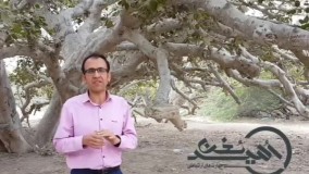 سید امید مهارت ارتباطی