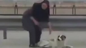 نجات سگ توسط یک خانم از وسط اتوبانی در ایران