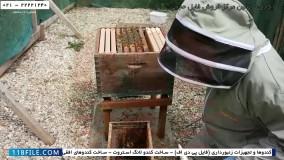 حرفه ای زنبورداری-پرورش زنبور عسل-زنبورداری صنعتی-ساخت کندو عسل