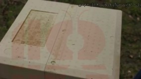 حرفه ای زنبورداری-پرورش زنبور عسل-زنبورداری صنعتی-شرایط زمستانی