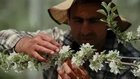 مصاحبه با اقای محمود صادقی، مدیر عامل شرکت کشاورزی رضوی