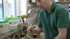 شیرینی تهیه شده از جلبک