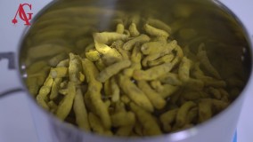 انواع دستگاه آسیاب