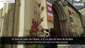 زبان فرانسه-خرید آموزش تخصصی زبان فرانسه -ساختار خواندن در زبان