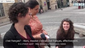 زبان فرانسه-دانلود سریال آموزشی زبان فرانسه-ریشه لغات فرانسوی