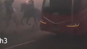 جو عجیب و فوق‌العاده هواداران اتلتیکو بیرون ورزشگاه