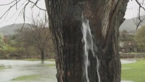 جوشش چشمه اما این بار از جایی غیرِ زمین !