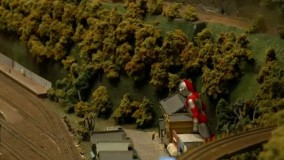 بچه گربه‌ای که سرنوشت یک رستوران را تغییر داد