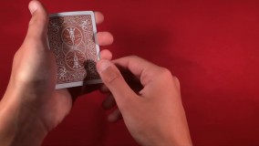 رایگان شعبده بازی با پاسور - آموزش ترفند پاسور-دانلود آموزش عالی شعبده بازی