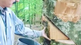 جنایت دردناک در روز روشن