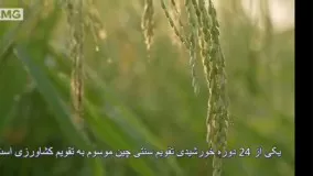 آغاز دوره خورشیدی«گویو» نوید برای شالیکاری