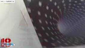 نورپردازی آسمان مجازی- نصب آسمان مجازی رایگان-آسمان مجازی سه بعدی