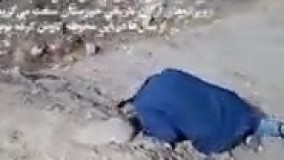 تصاویری تلخ از اشک و ناله باستان‌شناس معروف