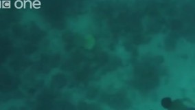 اولین انسان‌ هایی که با زندگی زیر آب سازگار شده‌اند !