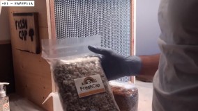 قارچ خوراکی- آموزش رایگان پرورش قارچ -( بهترین دما برای پرورش قارچ )