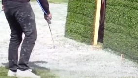 نقاشی شناور ونیز را قبل از محو شدن ببینید