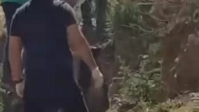 اقدام کیهان کلهر برای جمع آوری  زباله های سیزده بدر