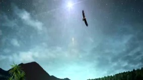 تولد دوباره عقاب