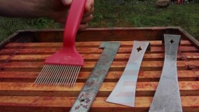 آموزش زنبورداری حرفه ای  - روش یافتن ملکه