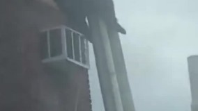 ویدئویی عجیب از یک خرس بالای تیر برق !