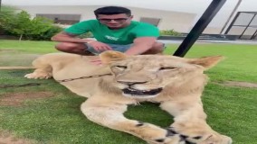 بازی سعید عزت‌ اللهی با یک قلاده شیر!