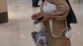 پاساژ گلشن مال  تهران دچار آتش‌سوزی شد