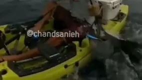 لحظات نفس‌گیر مصاف شکارچی و شکار در دریا!