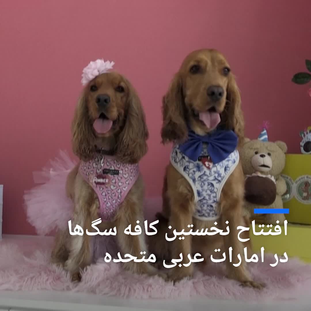 متفاوت‌ ترین کافه‌ای که در امارات افتتاح شد