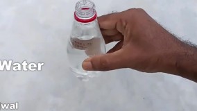 آموزش پرورش گل رز برش داده شده در بطری آب