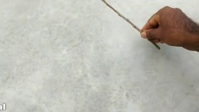 آموزش قلمه زدن