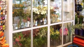 قیمت یخچال گل فروشی ویترینی آرامیس مارکت