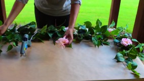 ایده های جالب عروسی - تشریفات عروسی - دیزاین ورودی عروس داماد