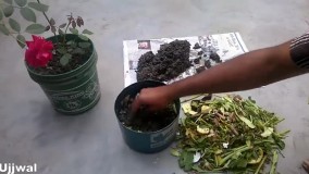 چگونه در خانه کود کمپوست درست کنیم