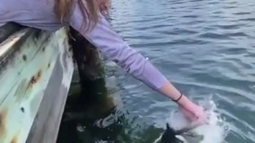 ویدئویی وحشتناک از لحظه بلعیدن دست دختر جوان